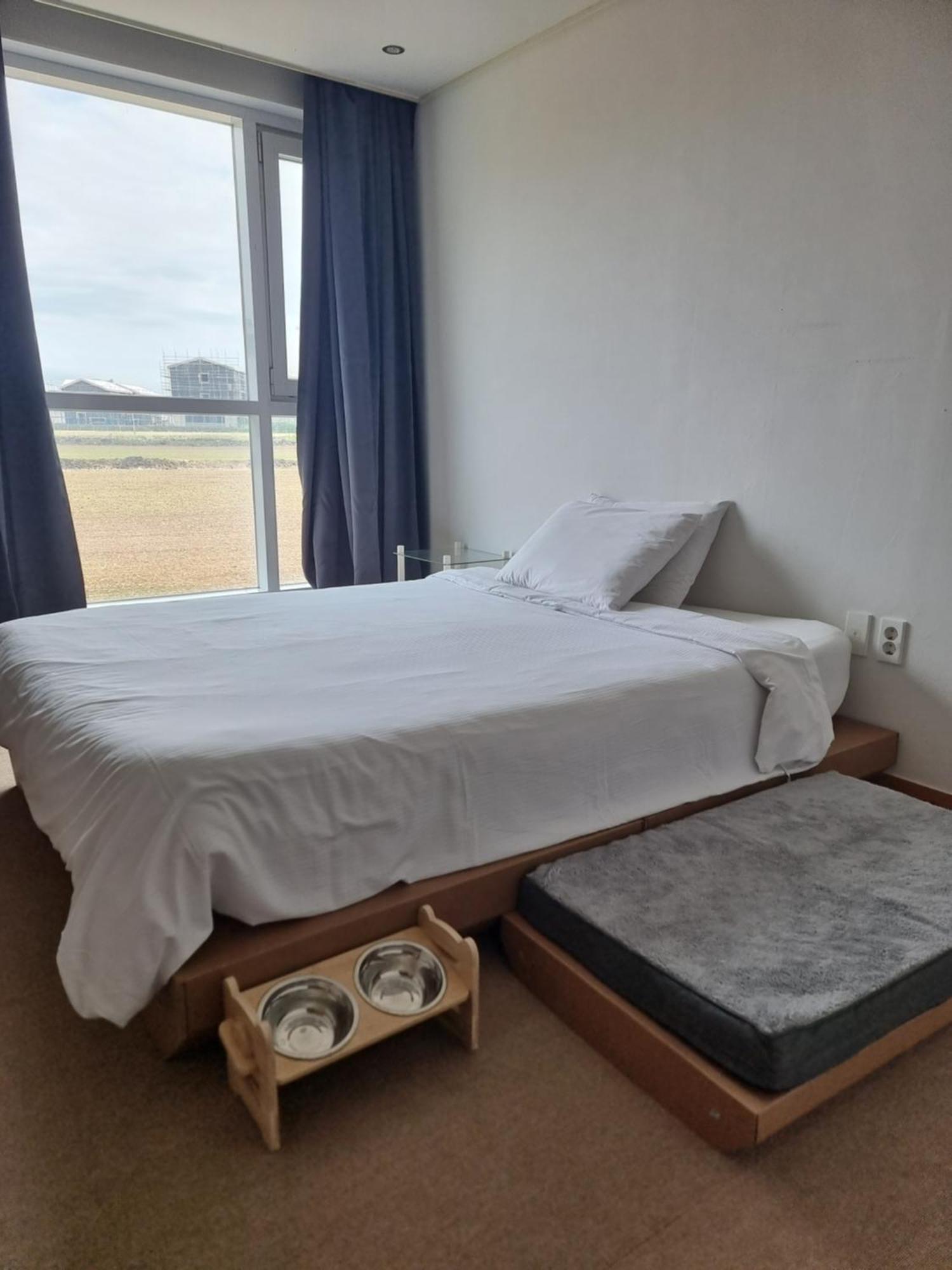 Bedradio Dodubong Hotel Oedo-dong Bagian luar foto